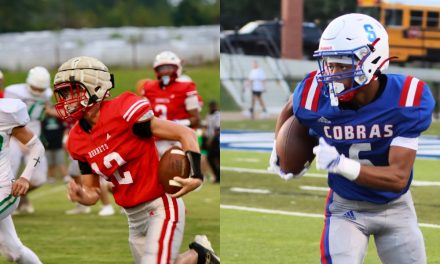 Talking Ball, Y’all: Cobras and Hornets